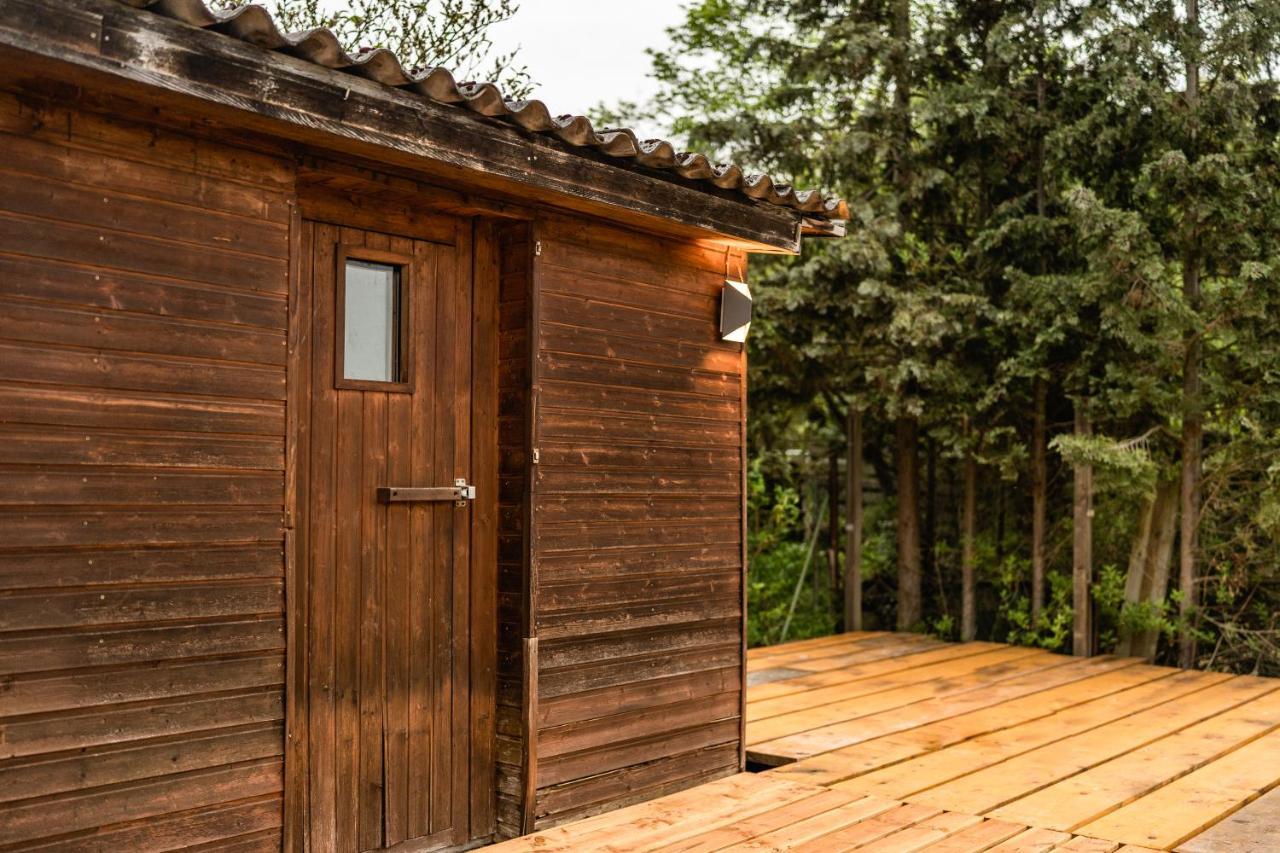 Die Entspannendste Wohnung Am Edersee - Spa Sauna Edertal Luaran gambar